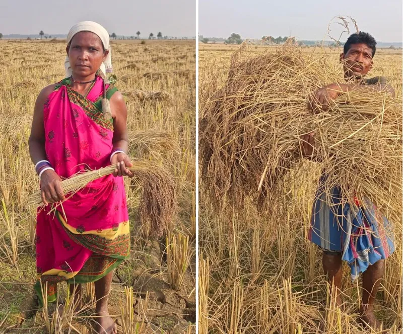 two tribal farmers