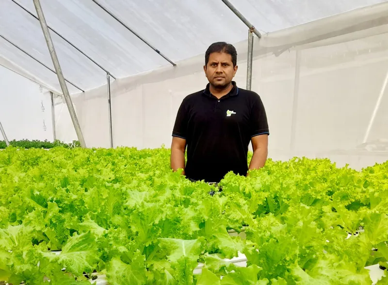 small hydroponics