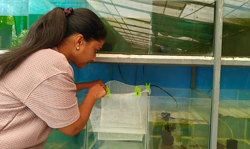 aquariums