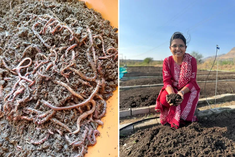 earthworms