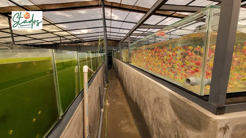 aquariiums