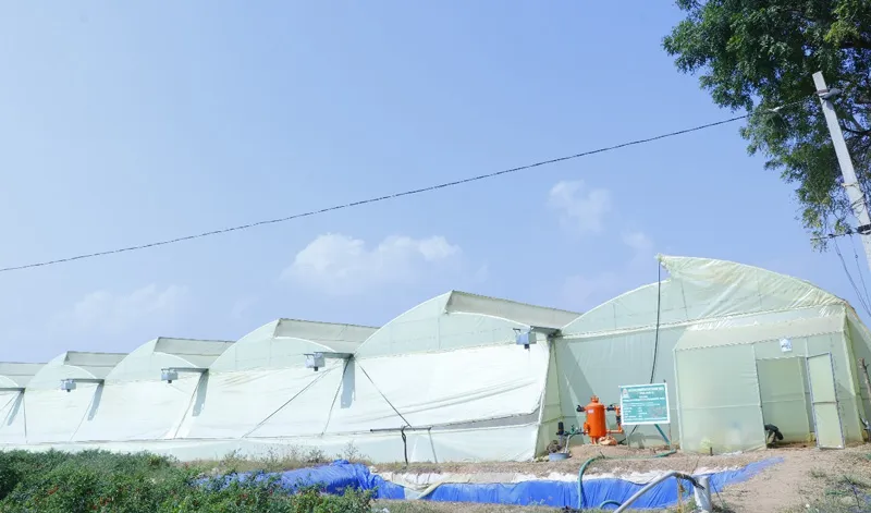 polyhouse STRUCTURE