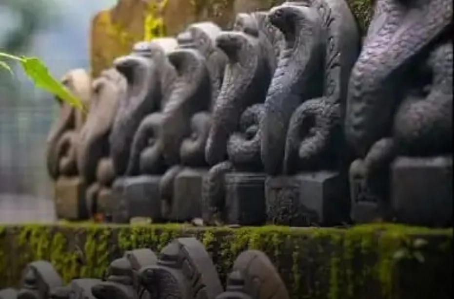 worship of snakes