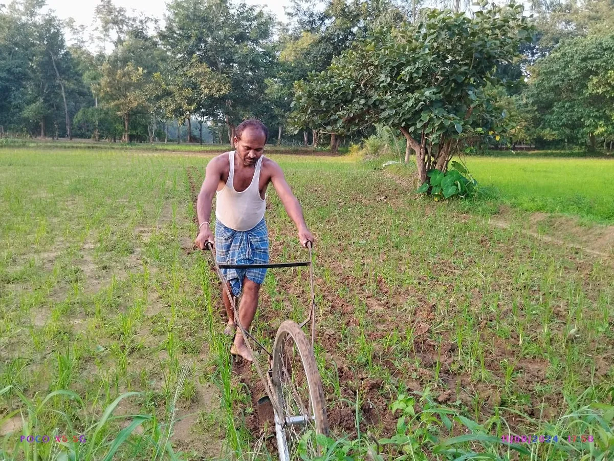Govindia working on his farm. Pic: MSSRF