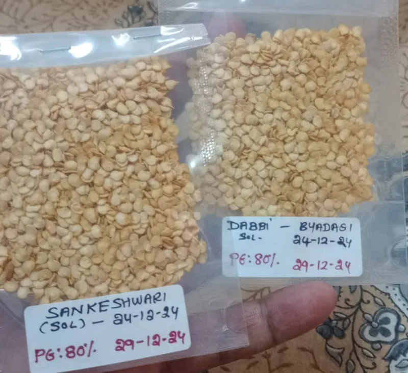 Organic seeds