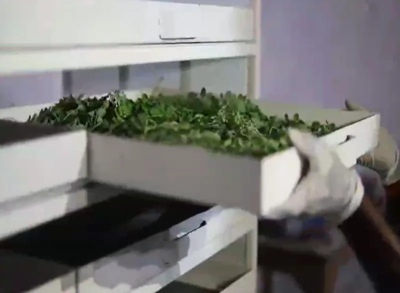 drying machine