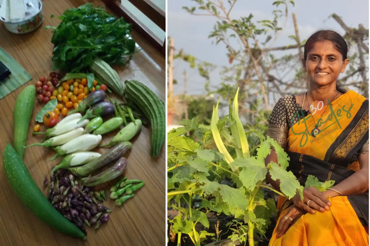 brinjals