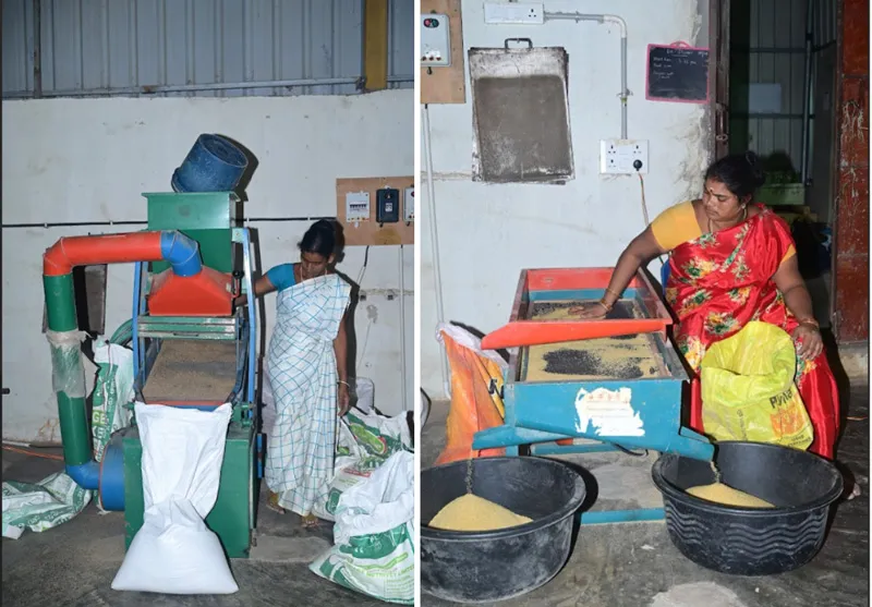 women processing millets