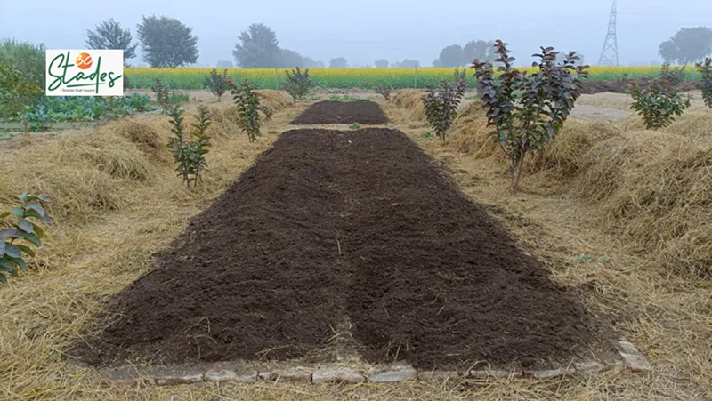 each bed of vermicompost