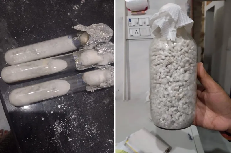 tissue culture of mushroom