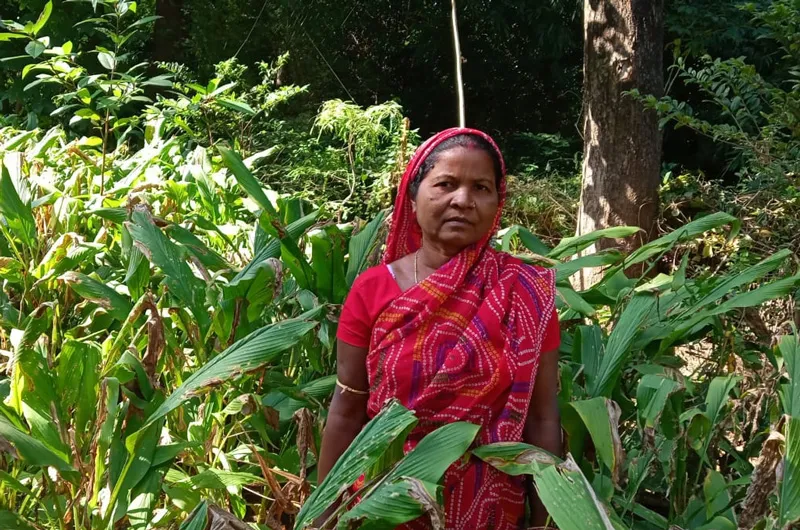 a woman turmeric farmer