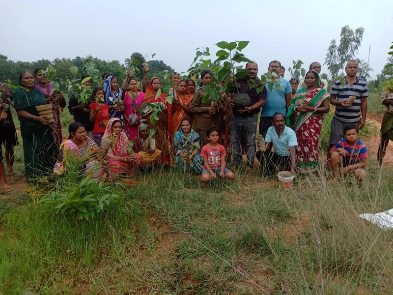 PLANTATION