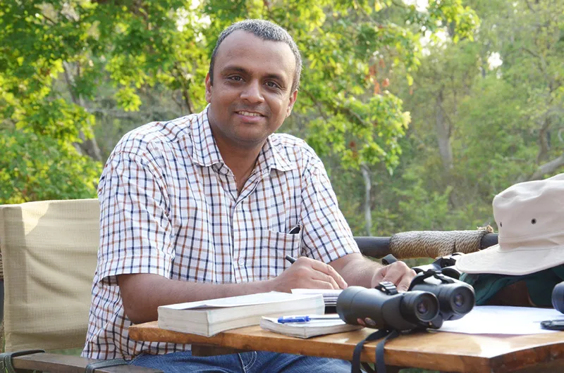 20 YEARS SPARROW CONSERVATION