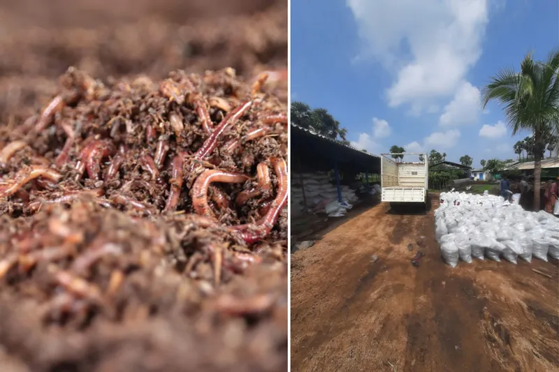 earthworms