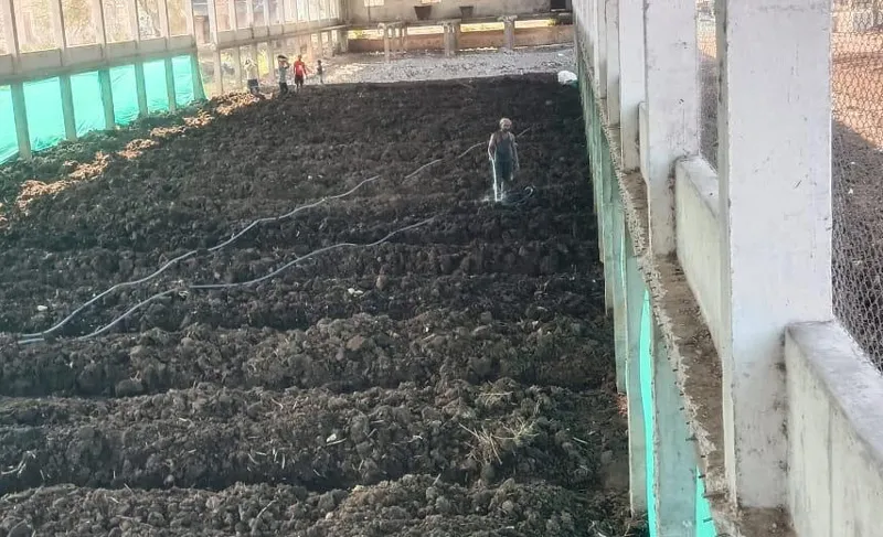 vermicompost beds