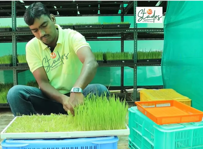 Mogolla Janardhan Goud grows wheatgrass in a greenhouse