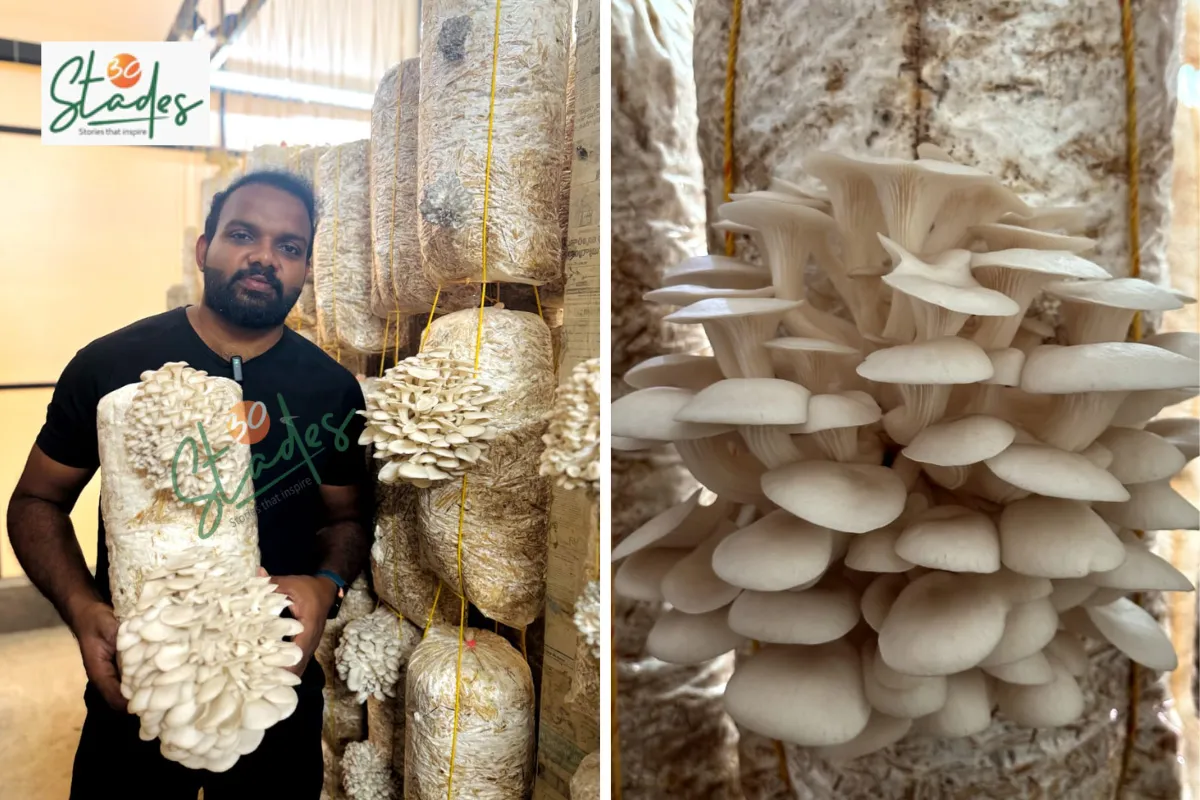 Jasal K set up his hi-tech oyster mushroom unit in Kozhikode in 2018