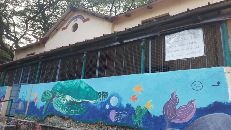 mural on the wall of a school 