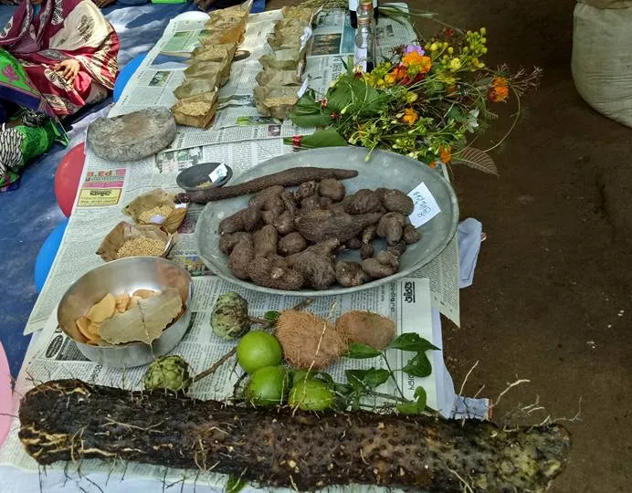 native vegetable seeds