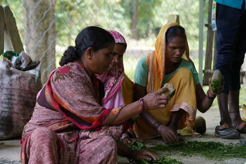 preparing organic farming inputs earth focus