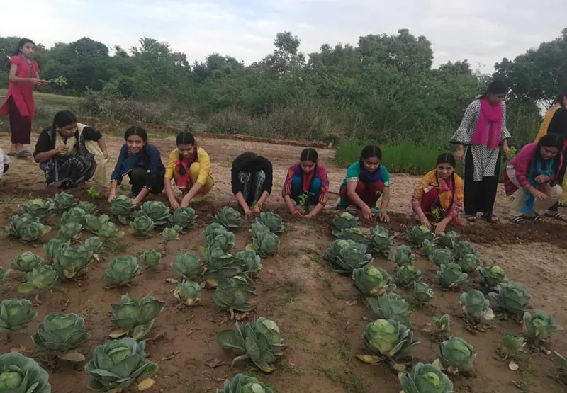 CHILDREN FARMING