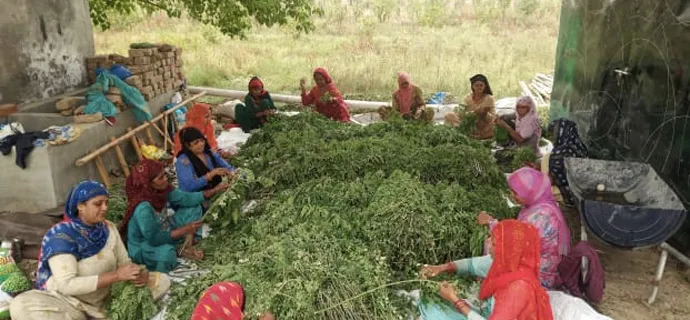 women working