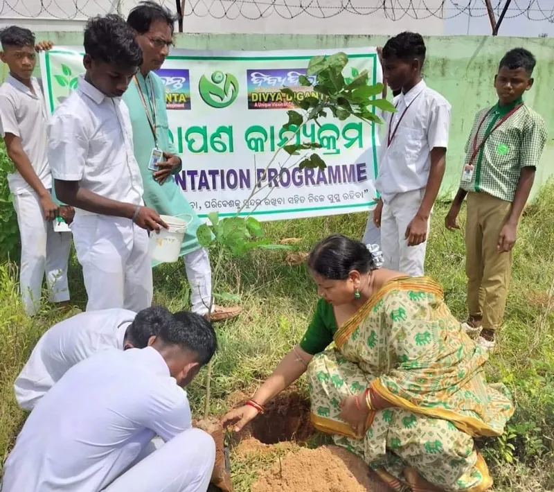 plantation drive