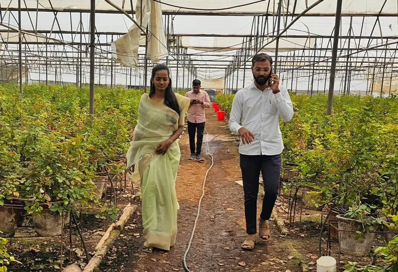 vermicompost shraddha farm