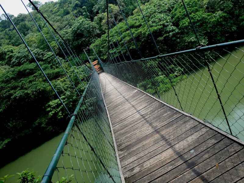 Thenmala Hanging Bridge