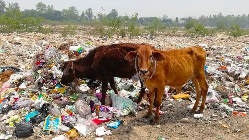 Landfill in corbett