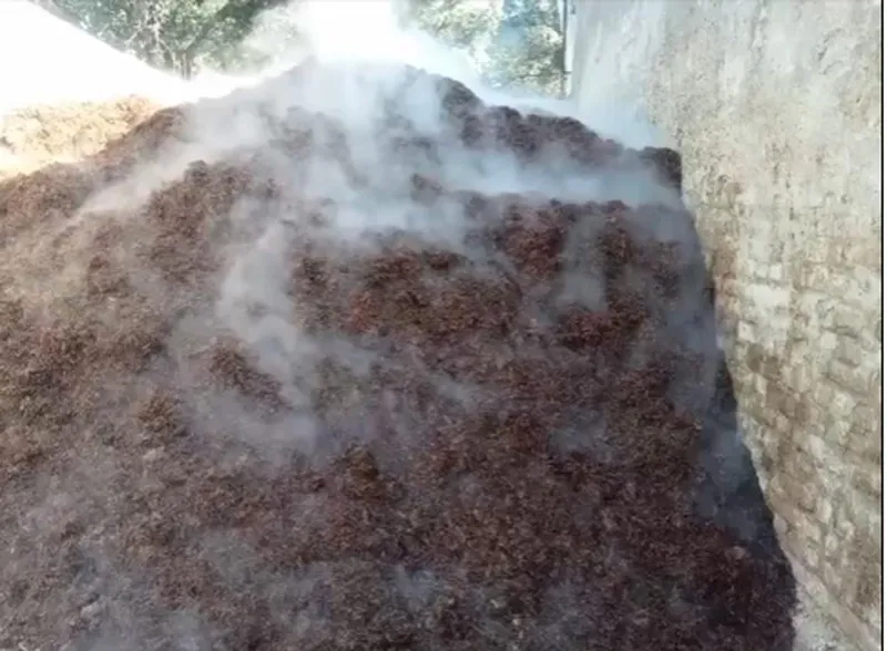 mushroom compost