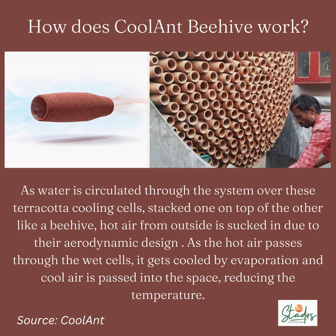 How does CoolAnt Beehive work?