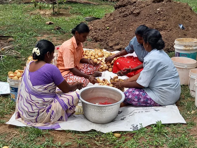 Women sorting and washing