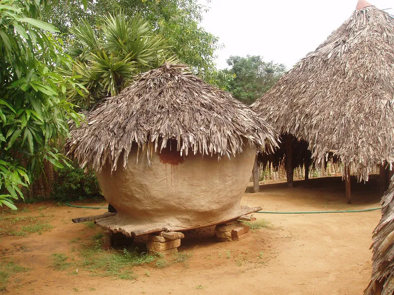 Chicken battery of Chuttillu