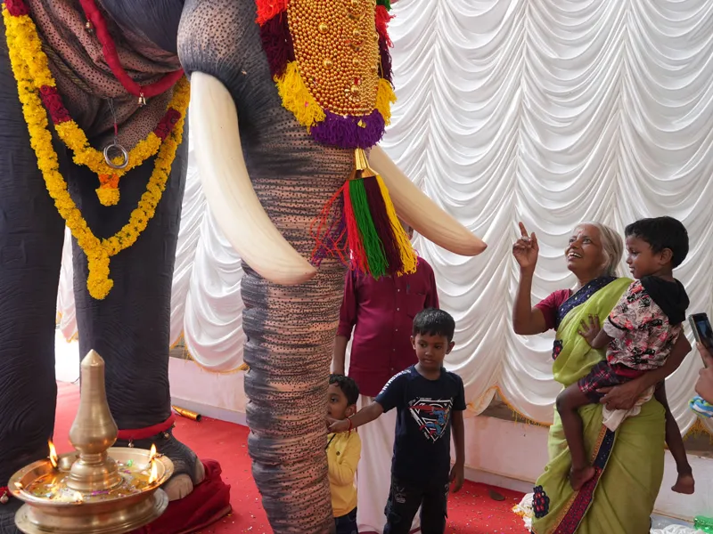 Robotic elephants rescue their real counterparts at temples in South India