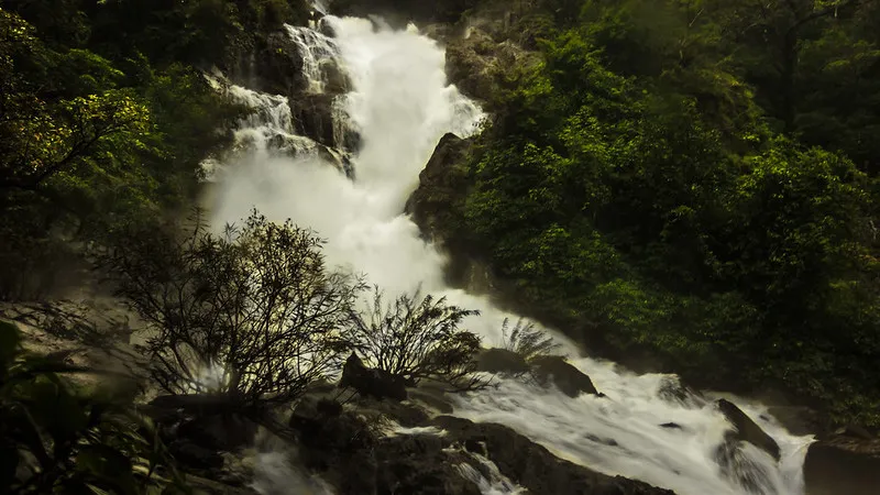 water stream tambdi surla