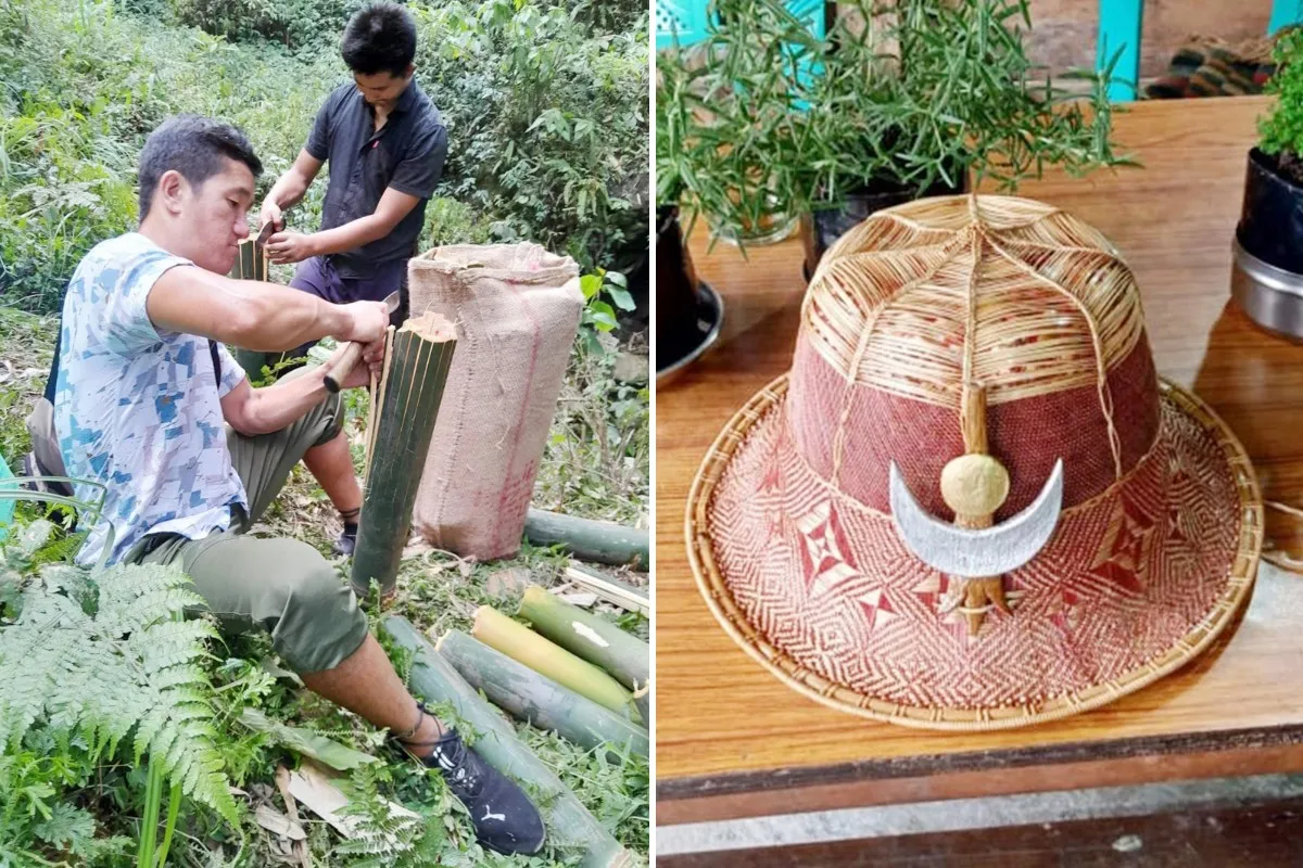 collecting bamboo