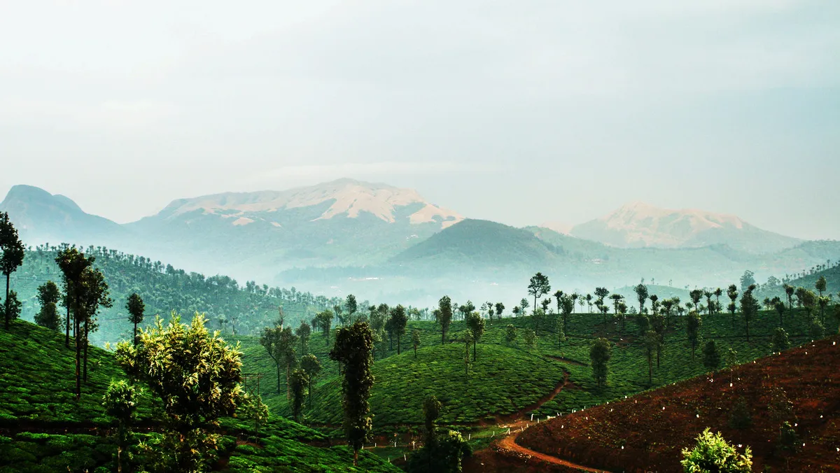 Mountain with mist in valparai