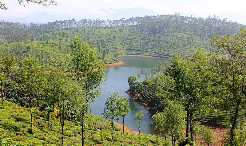 sholayar dam