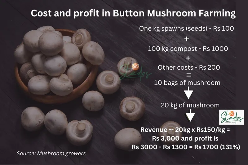 cost and profit in mushroom farming