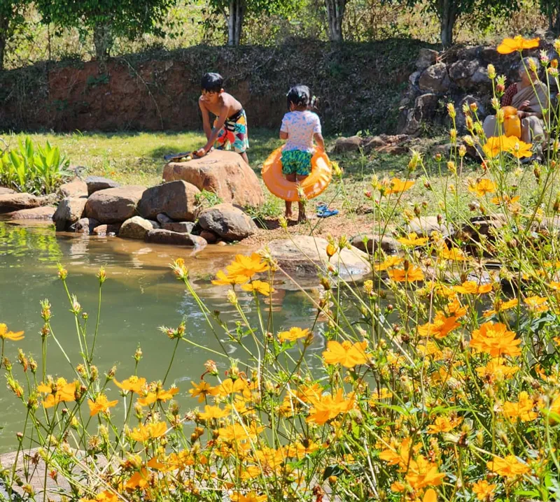 natural swimming pool