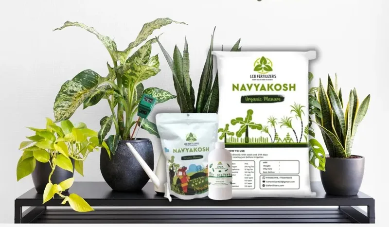 navyakosh brand