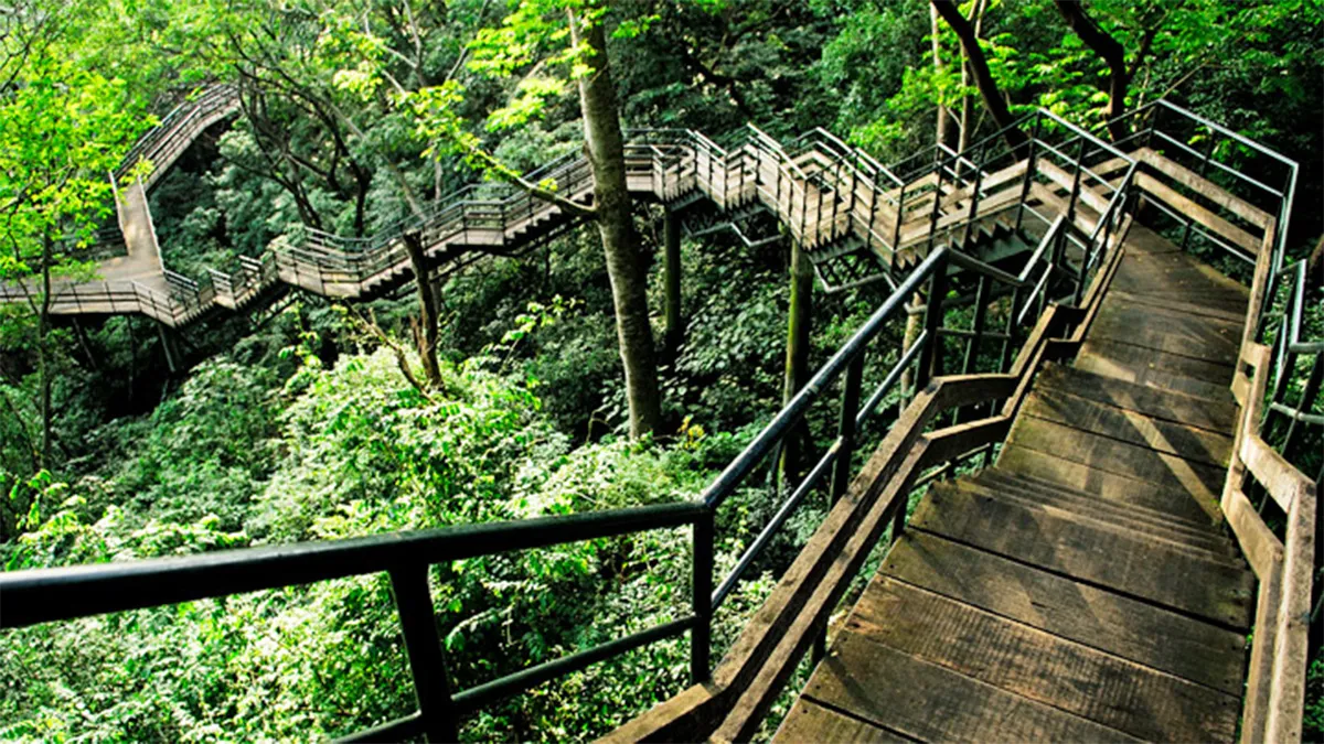 staircase in thenmala