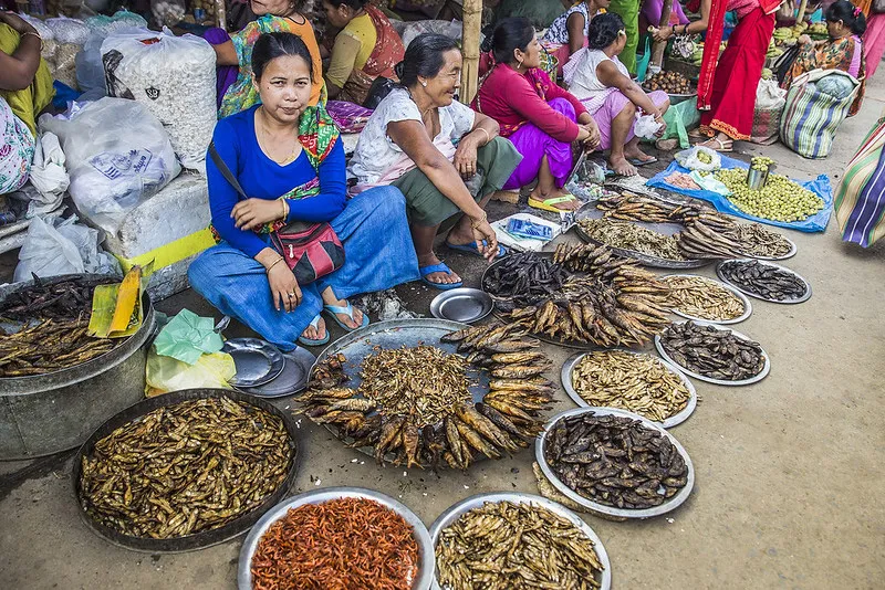 fish vendors