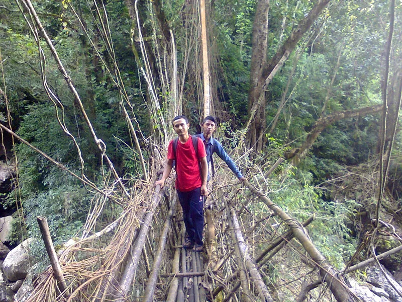 Meghalaya: How this school dropout is preserving centuries-old living root bridges & empowering tribals