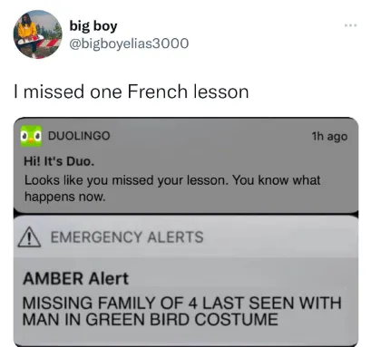 Duolingo meme 3