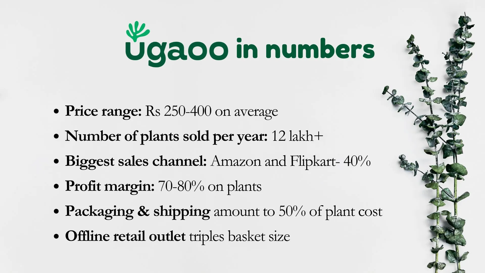 ugaooinnumbers