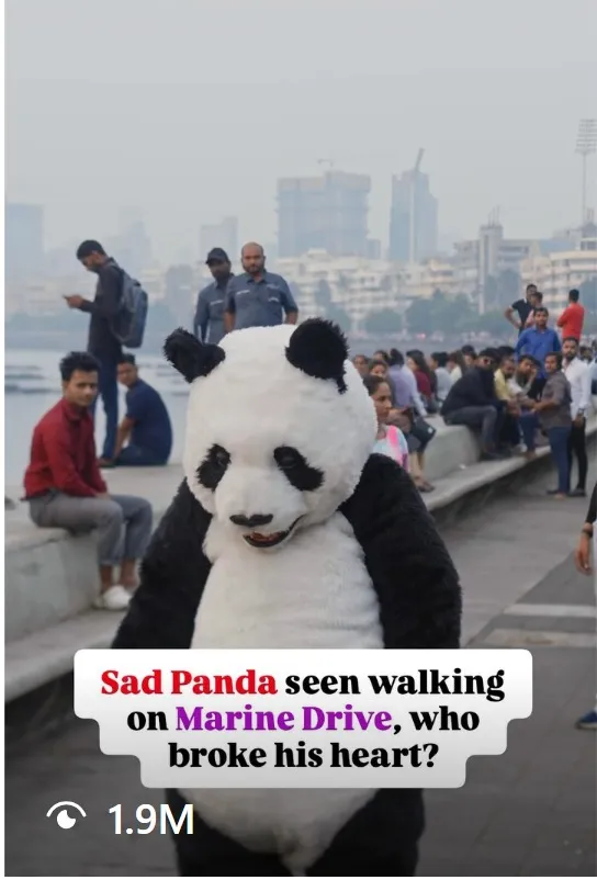 Pre_Buzz_Sad Panda