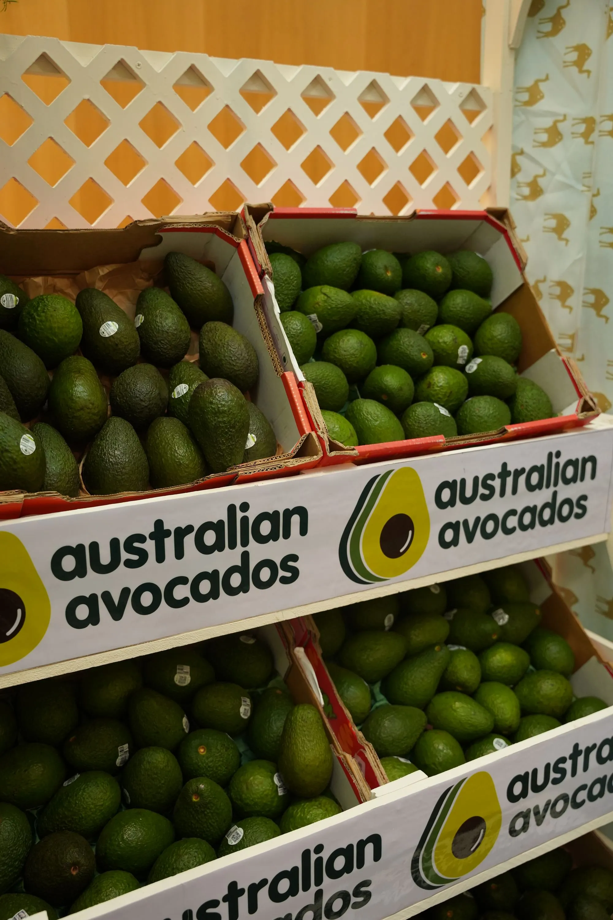 Australian Avocados   