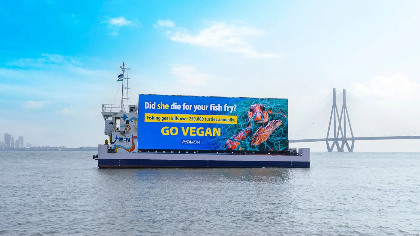 The billboard at Bandra-Worli Sea Link  